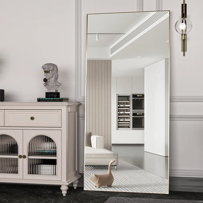 Miroir Moderne Full Body | Rectangle | Cadre Métal Noir